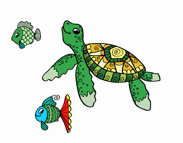 tartaruga  marina .