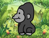 Gorilla bebè
