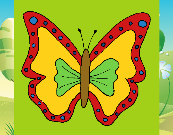 Farfalla 4a