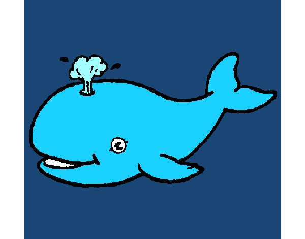 Balena che spruzza 