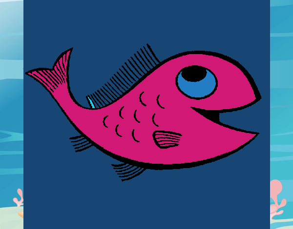 Pesce 1