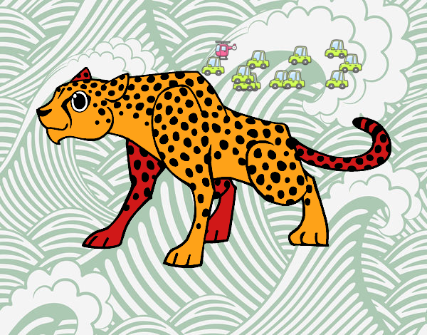 Un ghepardo