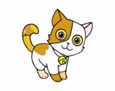 Disegno Gatto domestico pitturato su LallaBit