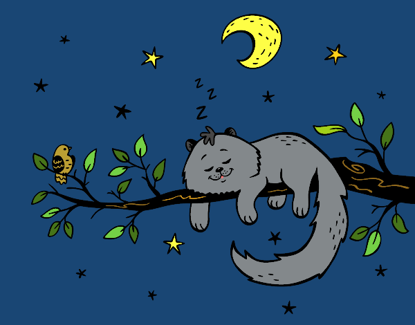 Disegno Il gato e la luna pitturato su gaga