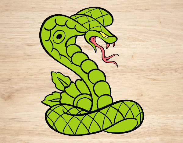 serpente velonoso