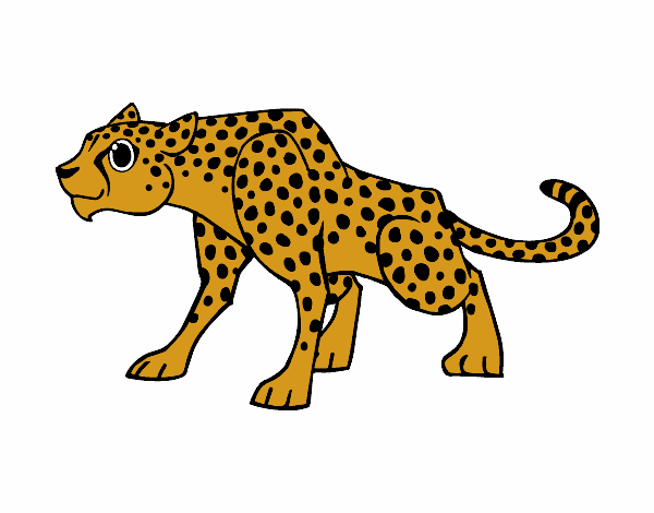 disegno un ghepardo colorato da utente non registrato il 11 di aprile del 2016 della catena alimentare auguri buon compleanno colorare