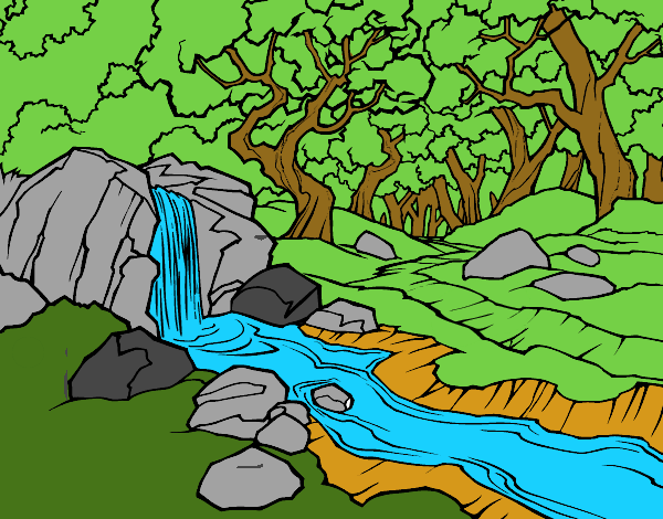 Paesaggio della foresta con un fiume