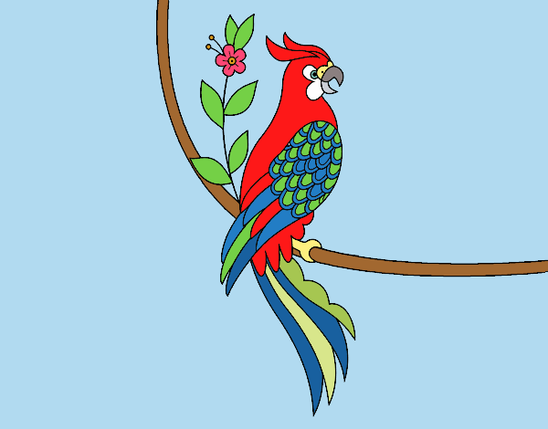 Tatuaggio di pappagallo