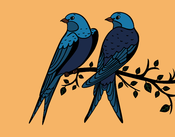 Disegno Coppia di uccelli pitturato su NoExit