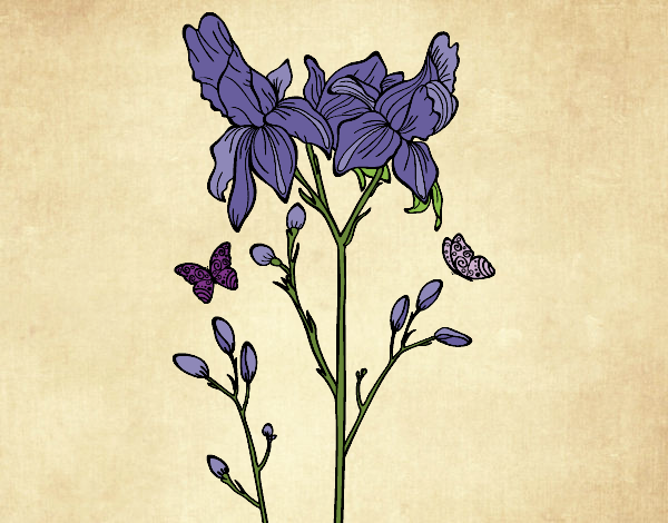 Disegno Fiore di Iris pitturato su NoExit