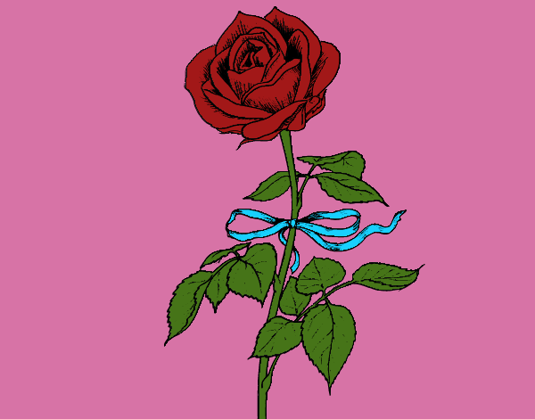 Disegno Una rosa pitturato su lella18