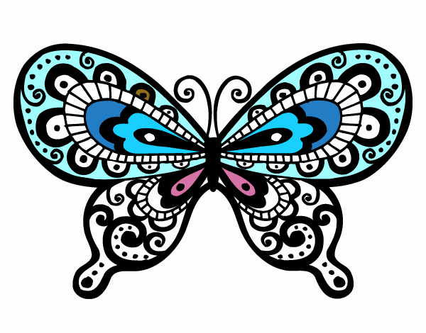Farfalla bella