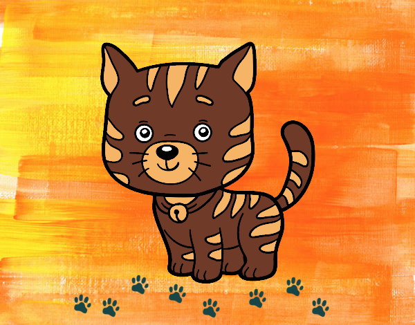 Disegno Un gatto domestico pitturato su angy2016