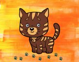 Disegno Un gatto domestico pitturato su angy2016