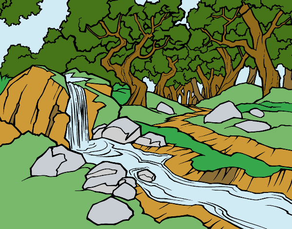 Paesaggio della foresta con un fiume