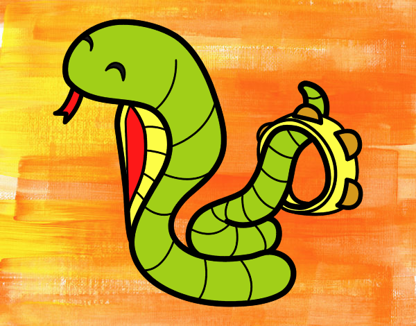 Cobra con tamburello