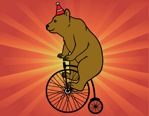 l'orso e la bicicletta