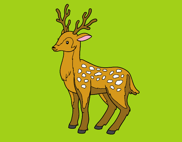 Disegno Un giovane cervo pitturato su FrancyCepp