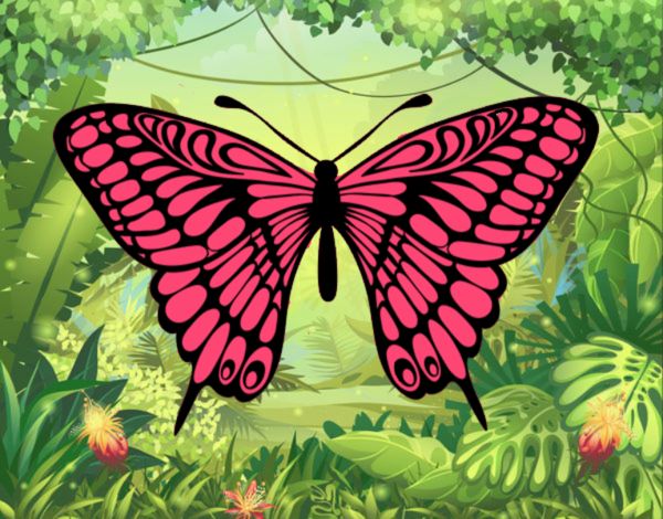Farfalla morrone nella foresta incantata 