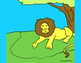 Il re leone