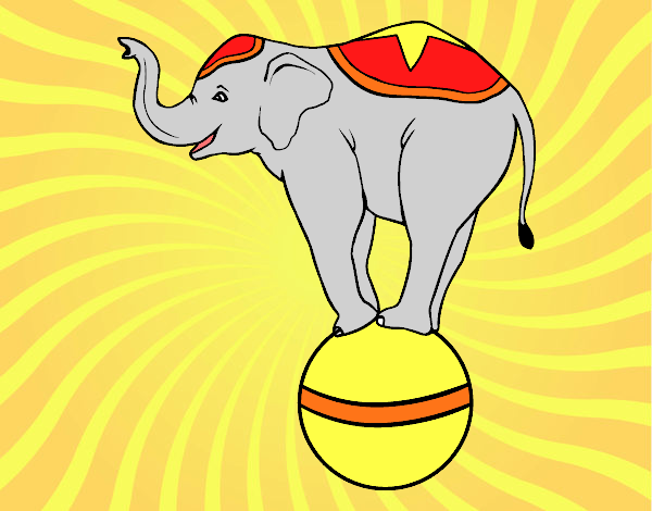 Disegno Elefante funambolo  pitturato su alessia07