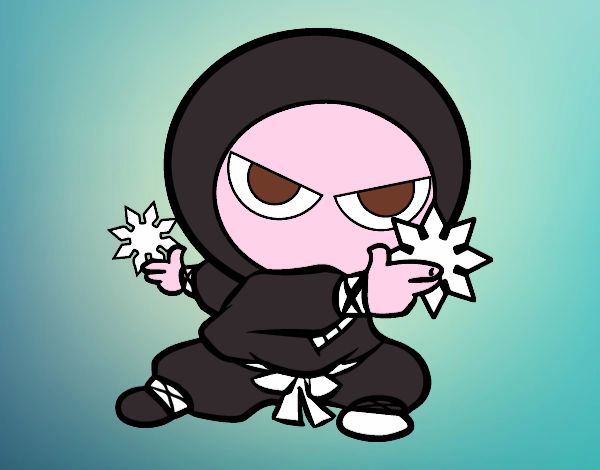 Ragazzo ninja