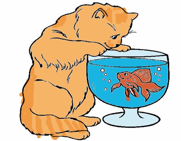 Disegno Gatto che osserva il pesciolino  pitturato su alessiacom