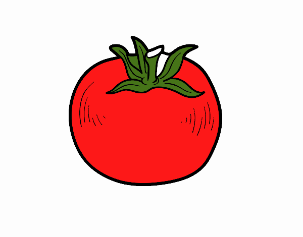 Disegno Pomodoro ecologico pitturato su parolini