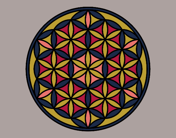 Disegno Mandala fiore di vita pitturato su stefan
