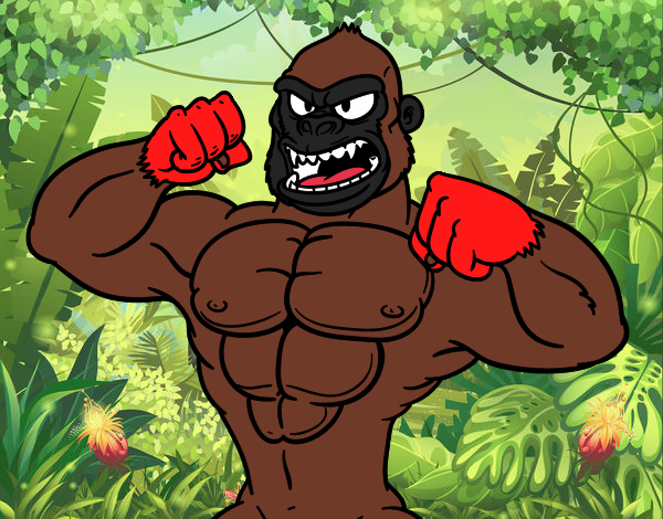 Gorilla forte
