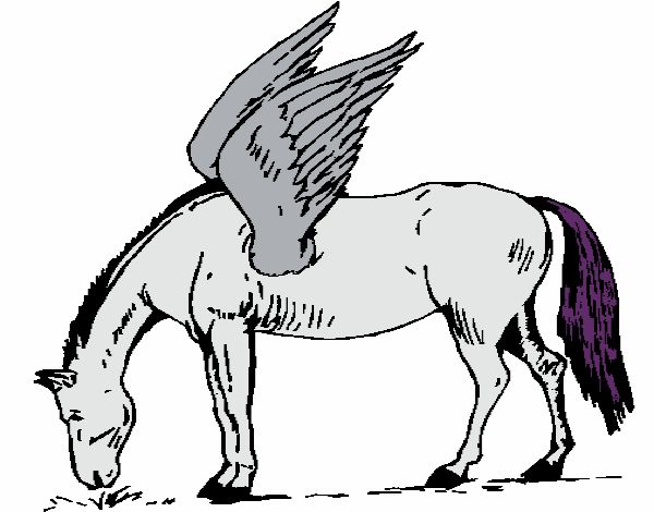 L' unicorno