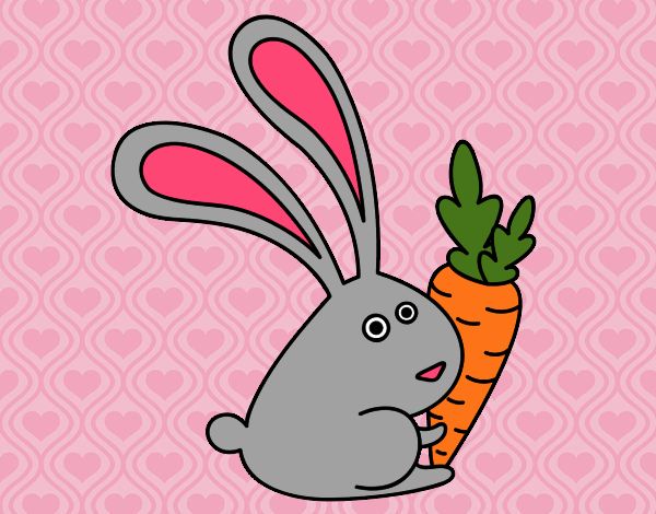 Coniglio con carota