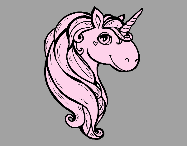Un unicorno