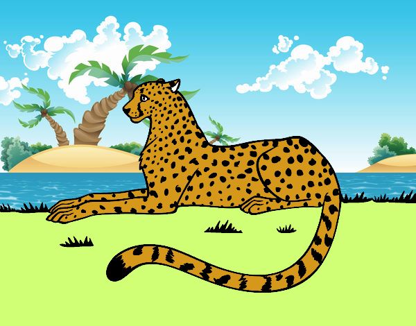 disegno ghepardo riposo colorato da utente non registrato il 05 di giugno del 2017 disegni della montagna sulla mamma