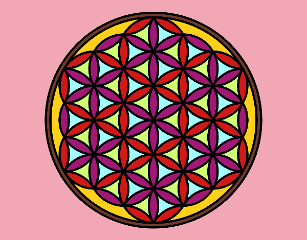 Disegno Mandala fiore di vita pitturato su FPT01