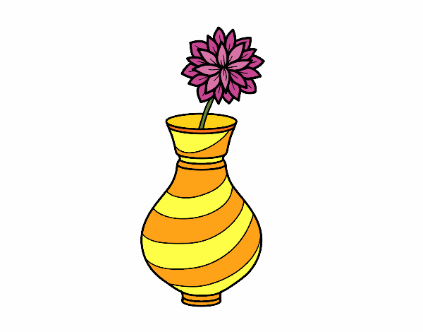 Crisantemo in un vaso