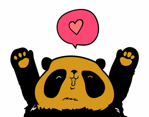 Panda amore