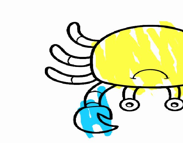 Un granchio di mare