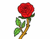 201752/rosa-selvaggia-natura-fiori-1132913_163.jpg