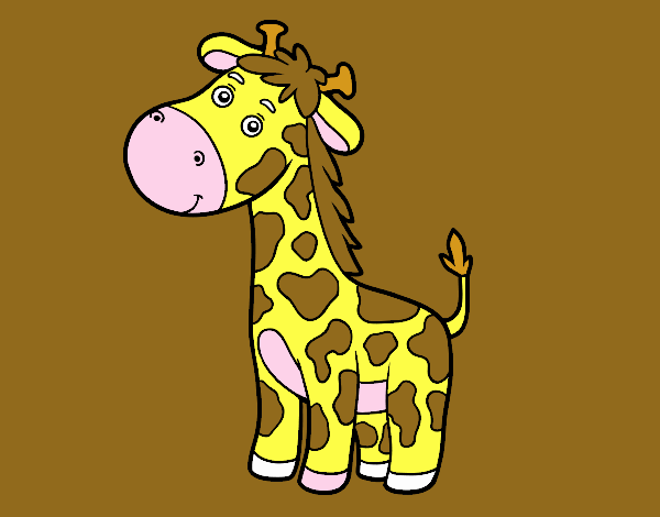 Una giraffa