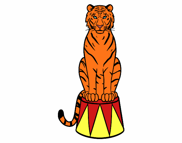 Tiger di circo