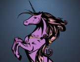 Disegno Unicorno magico pitturato su OnlyZyra