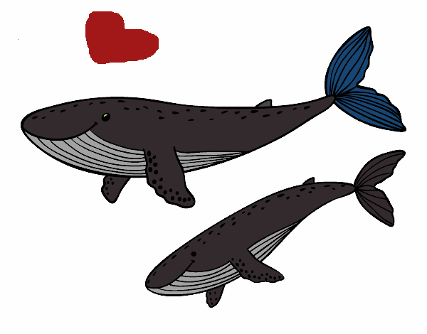 Disegno Balene pitturato su lavinia6