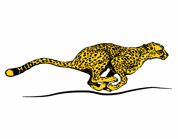 disegno ghepardo in corsa colorato da utente non registrato il 20 di febbraio del 2018 colorare maschere carnevale disegni con colori a dita
