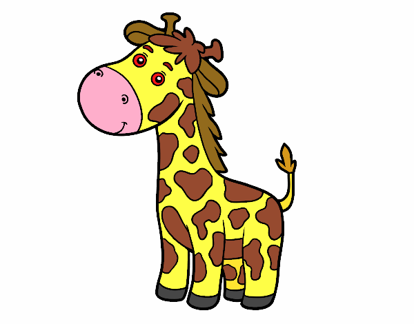 Una giraffa