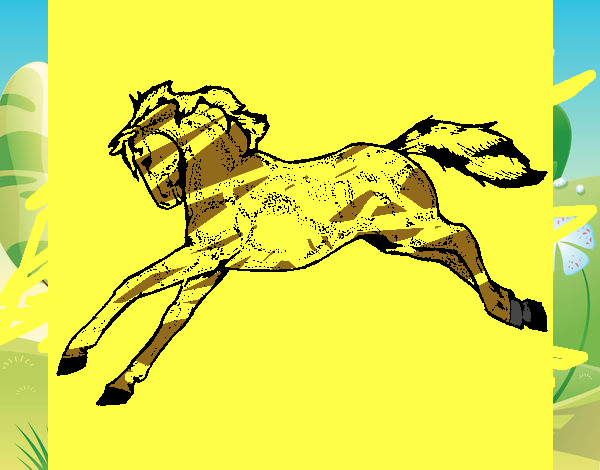 Cavallo in corsa