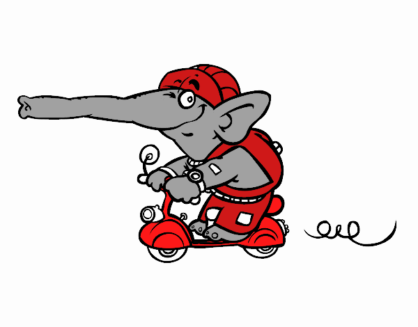 Elefante in motocicletta