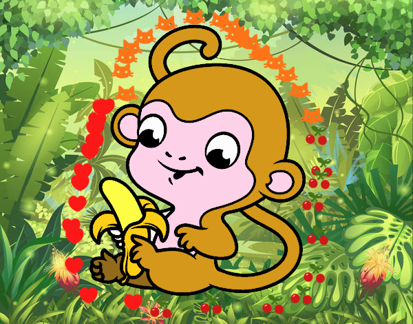scimmia piccola tenerissima