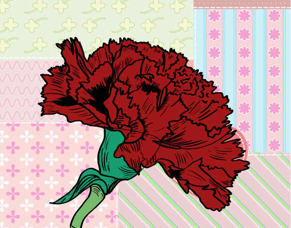 Fiore di garofano