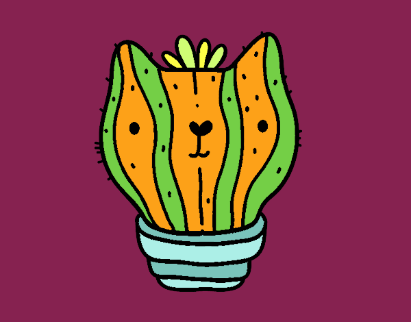 Cactus gatto